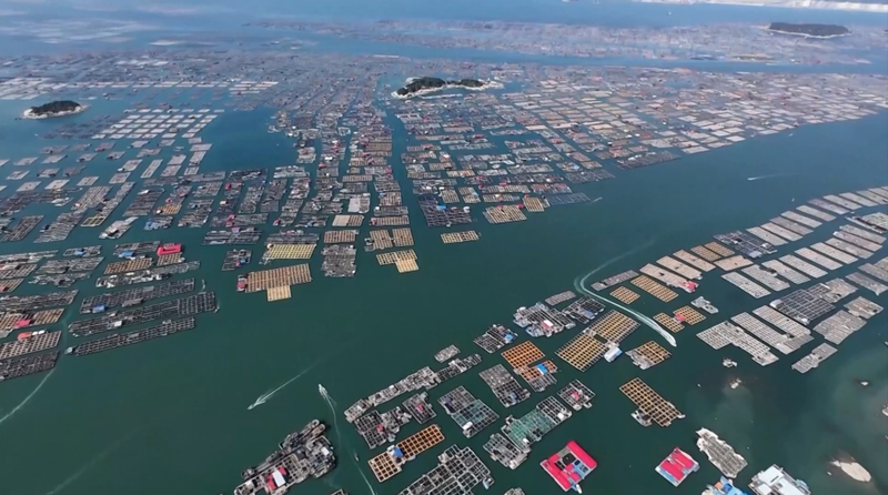 Typhoon_Danas_Spurs_Emergency_Response_in_China_