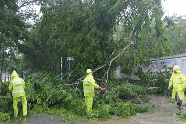 Typhoon Wipha Braces South China’s Coastal Regions Typhoon_Wipha_Braces_South_China_s_Coastal_Regions video poster