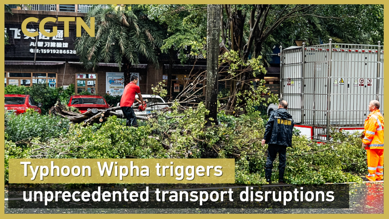 Typhoon Wipha Disrupts Transport in the Chinese Mainland Typhoon_Wipha_Disrupts_Transport_in_the_Chinese_Mainland video poster