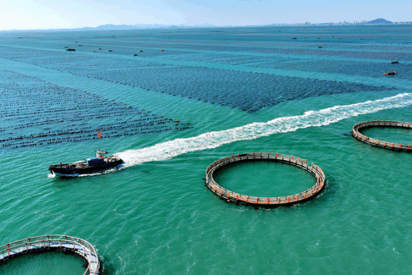Unified Market & Marine Economy: President Xi’s Vision Unified_Market___Marine_Economy__President_Xi_s_Vision