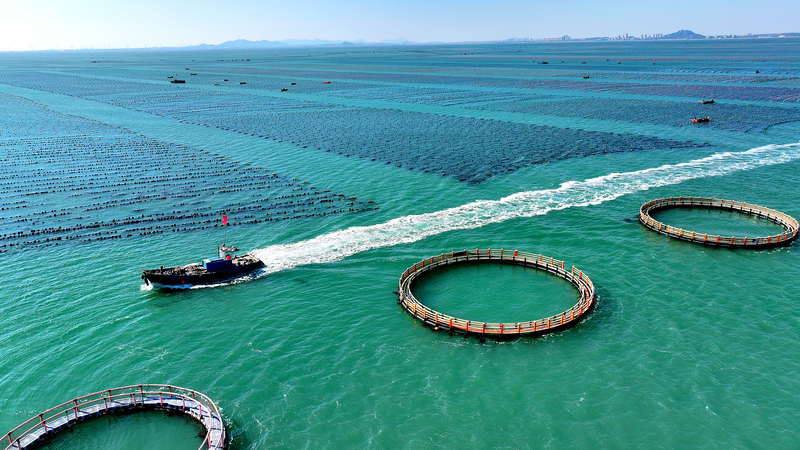 Unified_Market___Marine_Economy__President_Xi_s_Vision