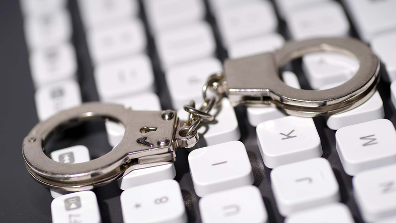 United_Efforts_Crush_Telecom_Fraud_Networks