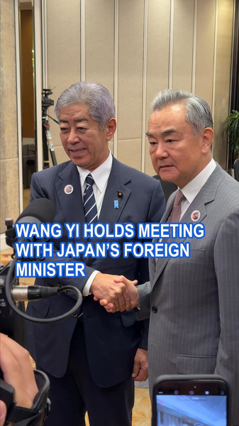 Wang_Yi___Japan_s_FM_Meet_in_Kuala_Lumpur video poster