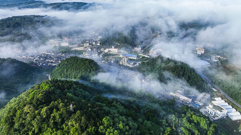 Xi_Jinping_s_Ecological_Civilization_Insights_Now_Released