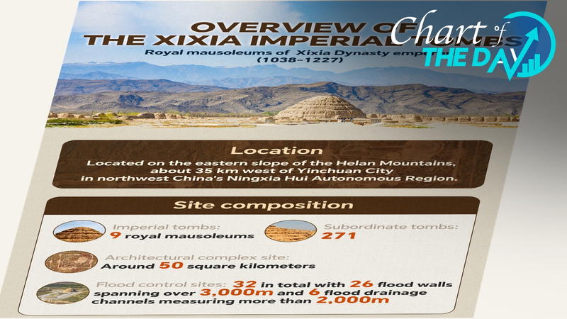 Xixia_Tombs_Crowned_as_UNESCO_Heritage_Gem_