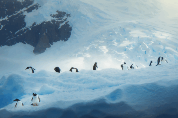 UN@80: Young Creators Kick Off ‘One Home’ Visual Stories