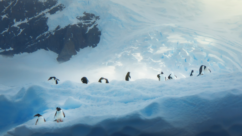 07UCAT7DW2W3GK55EN1T - Namaste Headlines UN@80: Young Creators Kick Off ‘One Home’ Visual Stories