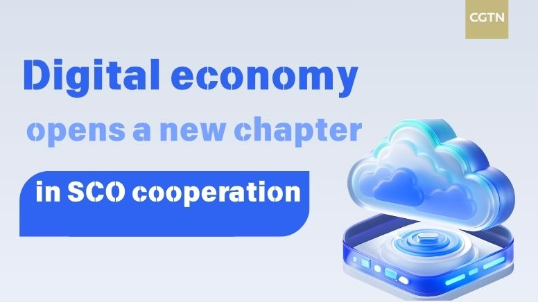 SCO’s Digital Economy: A New Era in Connectivity 🚀