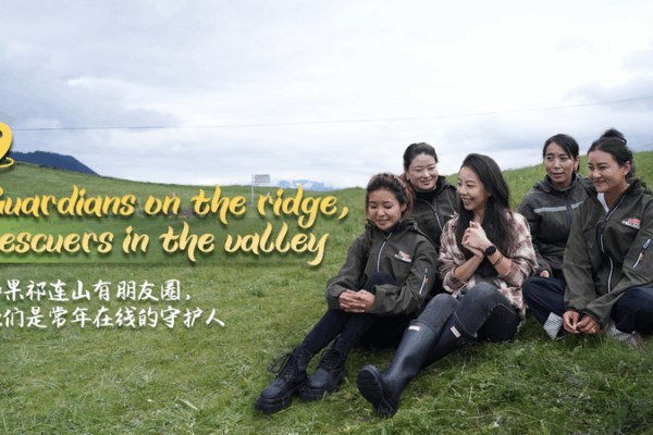 Guardians on the Ridge & Rescuers in the Valley: Qilian’s Wildlife Heroes Guardians on the Ridge & Rescuers in the Valley: Qilian’s Wildlife Heroes video poster