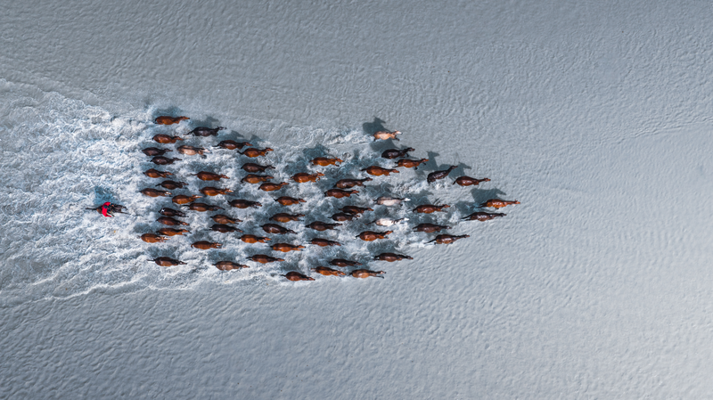 UN@80: Youth Capture Tomorrow in ‘One Home’ Photo Initiative