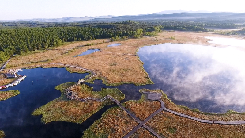 Chinese Mainland’s Green Leap: Coal Down, Renewables Up 🌿