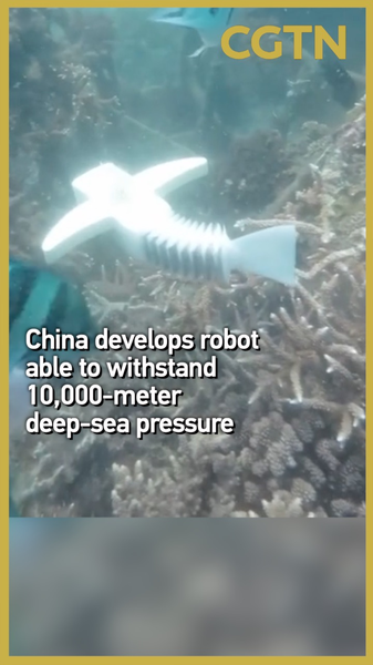 China’s Fish-Inspired Robot Conquers 10,000m Deep-Sea Pressure China’s Fish-Inspired Robot Conquers 10,000m Deep-Sea Pressure video poster