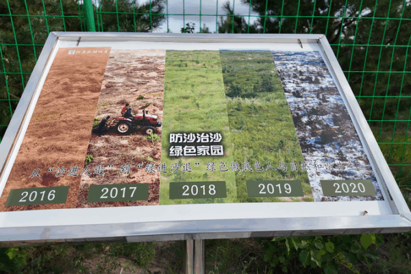 Desert to Green: Inner Mongolia’s Sandy Land Miracle Desert to Green: Inner Mongolia’s Sandy Land Miracle