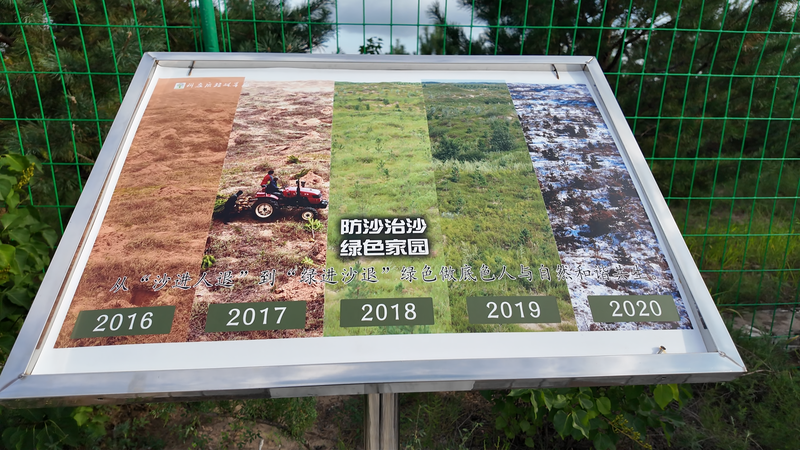 Desert to Green: Inner Mongolia’s Sandy Land Miracle