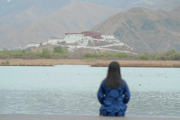Homecoming Mission: Dechen Yudron’s Quest for Education Equality in Xizang Homecoming Mission: Dechen Yudron’s Quest for Education Equality in Xizang video poster