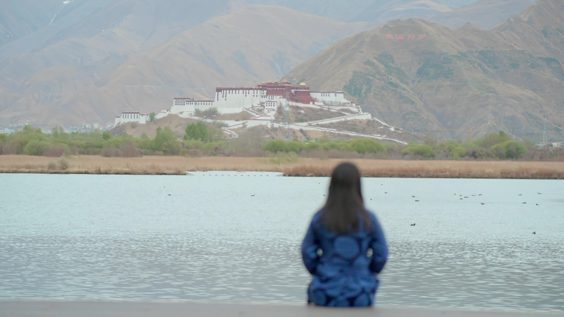 Homecoming Mission: Dechen Yudron’s Quest for Education Equality in Xizang video poster