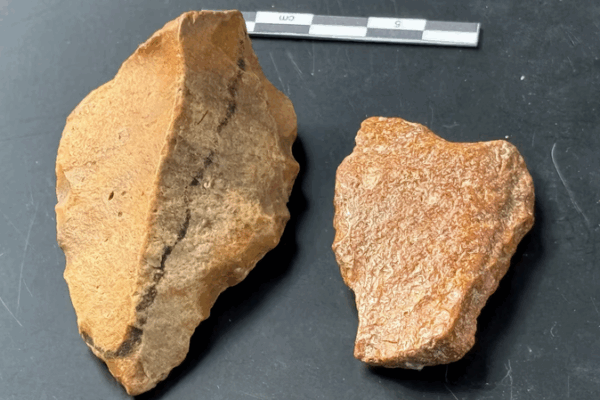 Possible Oldest Human Artefacts Found in Indonesia 🌏🔍 Possible Oldest Human Artefacts Found in Indonesia 🌏🔍
