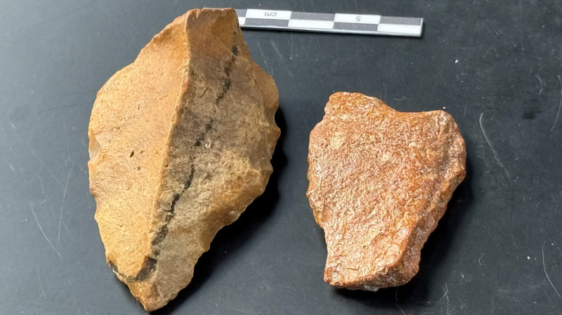 Possible Oldest Human Artefacts Found in Indonesia 🌏🔍