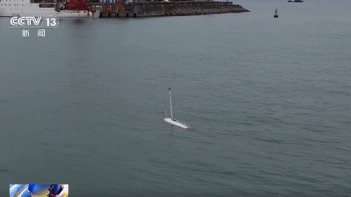 Albatross Dives into Typhoon Eye for Smart Storm Forecasts Albatross_Dives_into_Typhoon_Eye_for_Smart_Storm_Forecasts