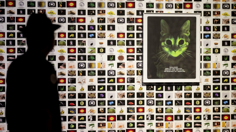 Art Exhibition Explores Human-Nature-Tech Harmony Art_Exhibition_Explores_Human_Nature_Tech_Harmony