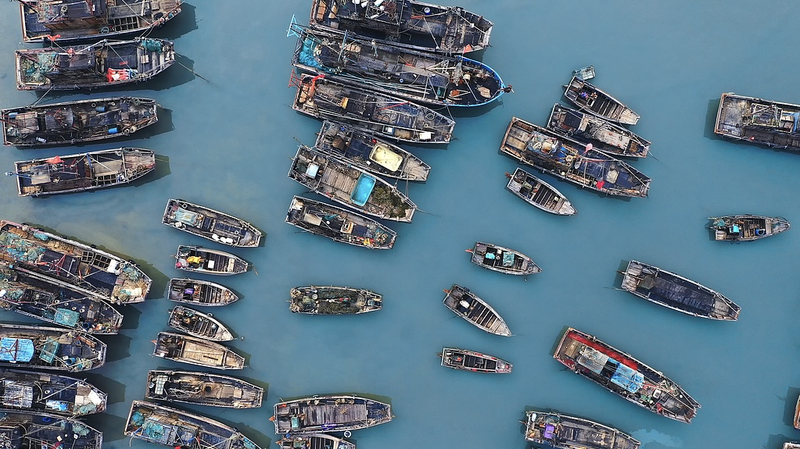 Fishing Season Kicks Off at Chinese Mainland Ports 🚤🐠 video poster