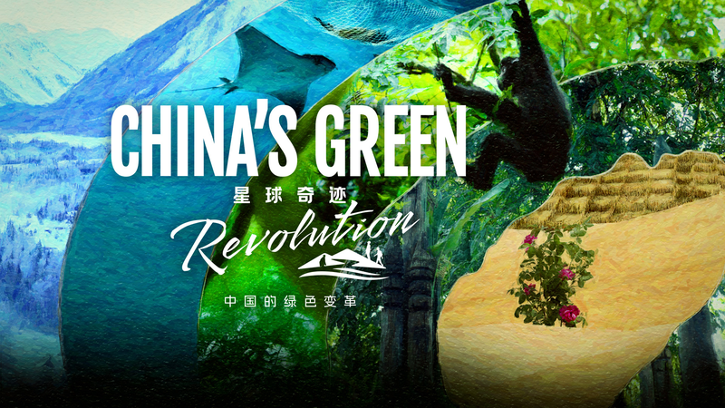 China’s Green Revolution: A Promise for a Greener Future 🌱 China’s Green Revolution: A Promise for a Greener Future 🌱 video poster