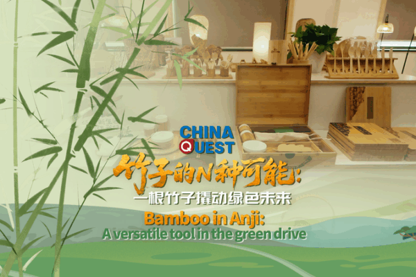 Bamboo in Anji: A Green Revolution Unleashed Bamboo_in_Anji__A_Green_Revolution_Unleashed video poster