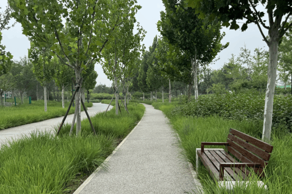Beijing’s Central Green Forest Park: Wasteland to Urban Oasis Beijing_s_Central_Green_Forest_Park__Wasteland_to_Urban_Oasis video poster