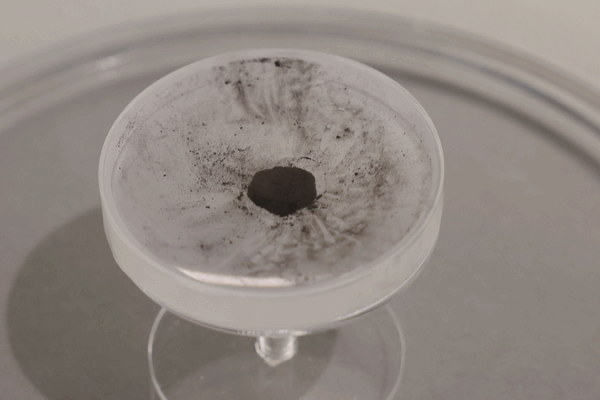 Chang’e-6 Samples Date Apollo Basin to 4.16 Billion Years Chang_e_6_Samples_Date_Apollo_Basin_to_4_16_Billion_Years