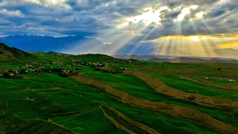 China’s National Park Reforms Boost Biodiversity Gains! China_s_National_Park_Reforms_Boost_Biodiversity_Gains_