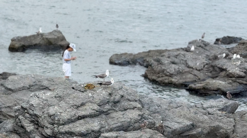 Chinese_Mainland_Marine_Economy_Accelerates_with_5_8__Growth_in_H1_2025