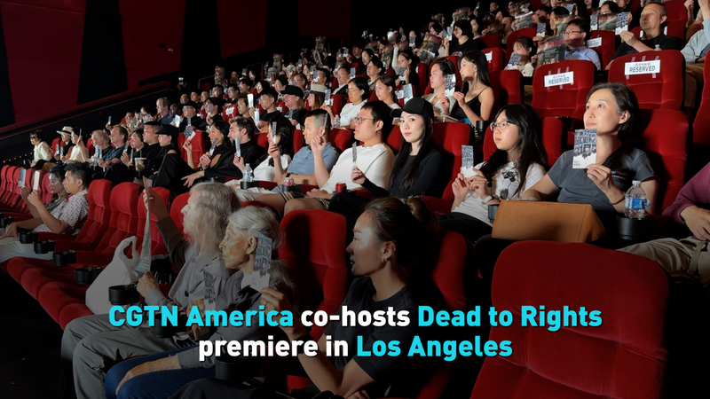 Dead_to_Rights__Nanjing_Massacre_Film_Premieres_in_LA video poster