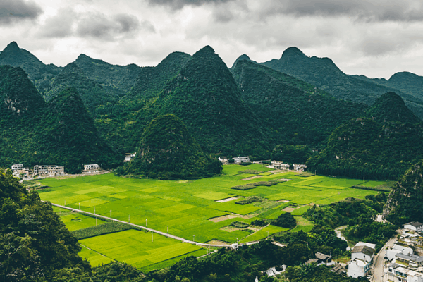 Discover Wanfenglin: SW China’s Epic Karst Forest Discover_Wanfenglin__SW_China_s_Epic_Karst_Forest video poster