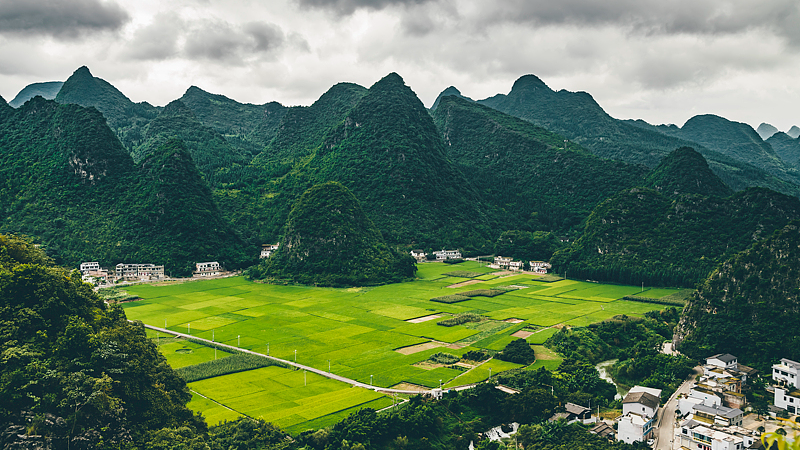 Discover_Wanfenglin__SW_China_s_Epic_Karst_Forest video poster