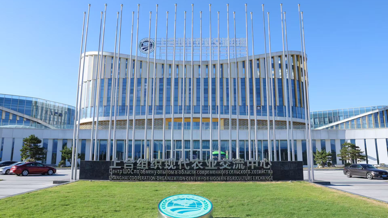 Yangling Lights the Way for SCO AgriTech Innovation 🚀 Yangling Lights the Way for SCO AgriTech Innovation 🚀