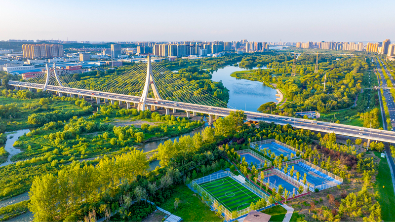 WWF: Chinese mainland’s green push sends big climate message WWF: Chinese mainland’s green push sends big climate message