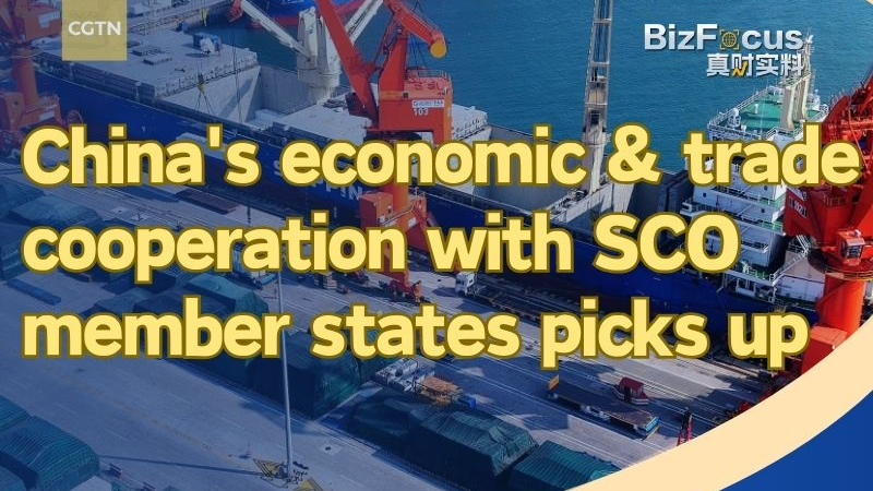 China-SCO Trade Soars 30× Ahead of Tianjin Summit