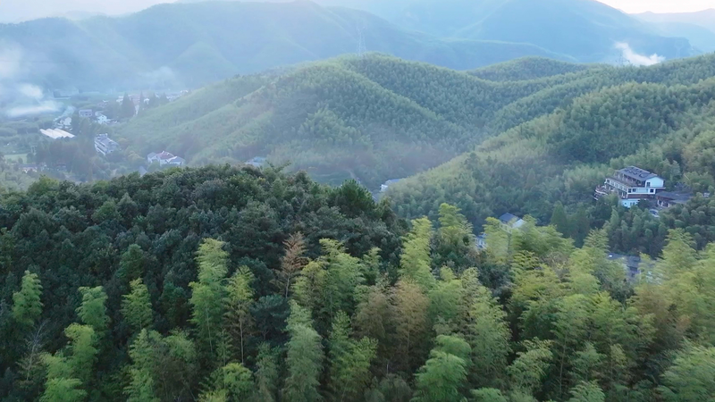 Escape to the ‘Hamptons of China’: Moganshan Staycation Guide Escape_to_the__Hamptons_of_China___Moganshan_Staycation_Guide video poster