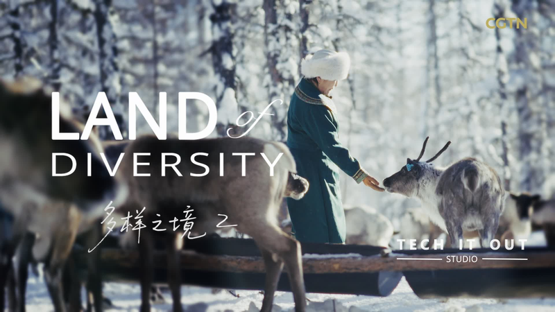 Ewenki_Reindeer_Release__A_Winter_Spectacle_in_the_Greater_Hinggan_Range video poster