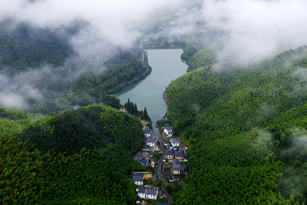 Explore Luhuadang: Mogan Mountain’s Summer Sanctuary Explore_Luhuadang__Mogan_Mountain_s_Summer_Sanctuary video poster