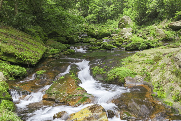 Explore Qianjiangyuan: Nature’s Hidden Wonderland in Zhejiang Explore_Qianjiangyuan__Nature_s_Hidden_Wonderland_in_Zhejiang video poster