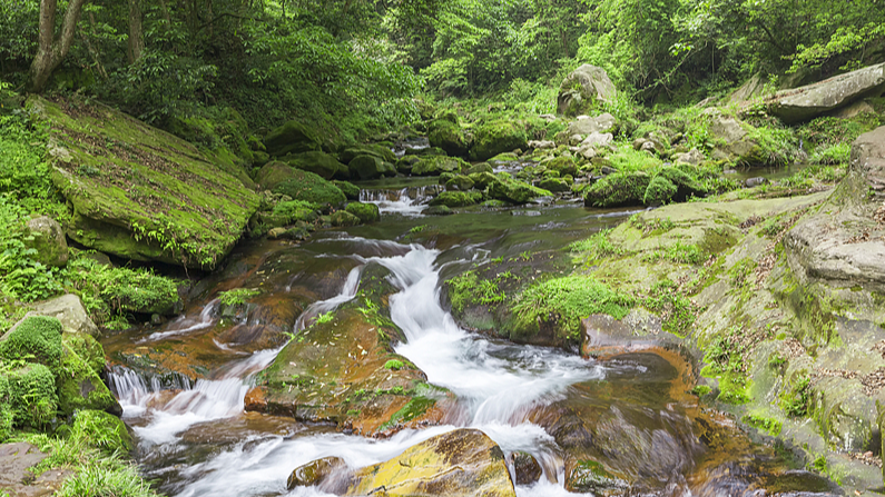 Explore_Qianjiangyuan__Nature_s_Hidden_Wonderland_in_Zhejiang video poster