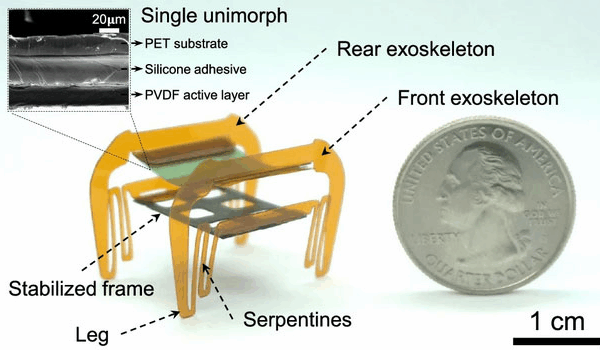 Chinese Researchers Debut Electronic Cockroach Microbot 🪲🤖 Chinese Researchers Debut Electronic Cockroach Microbot 🪲🤖