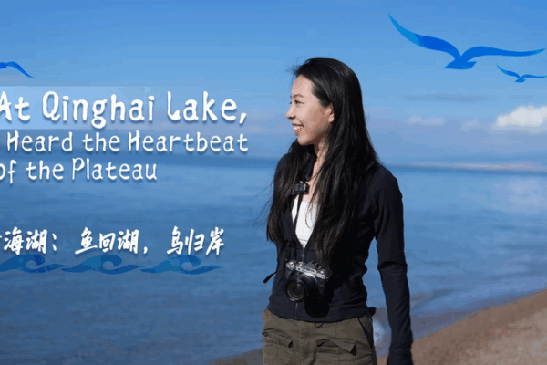 Qinghai Lake’s Beating Heart: Inside the Plateau’s Living Network Qinghai Lake’s Beating Heart: Inside the Plateau’s Living Network video poster