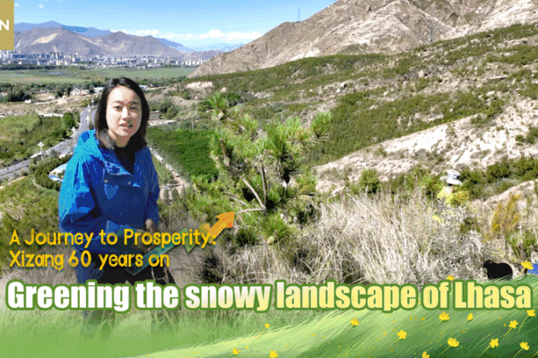 Greening Lhasa: From Snowy Slopes to Lush Green Landscapes Greening_Lhasa__From_Snowy_Slopes_to_Lush_Green_Landscapes video poster