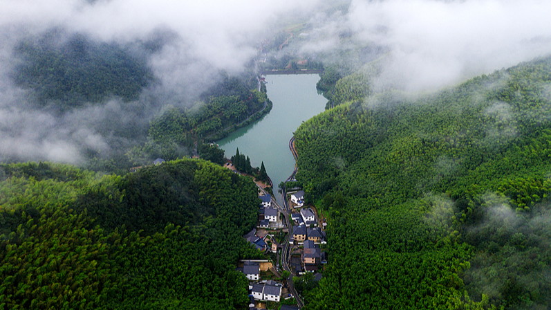 Luhuadang: Your Summer Sanctuary in Mogan Mountain 🌲☀️ video poster