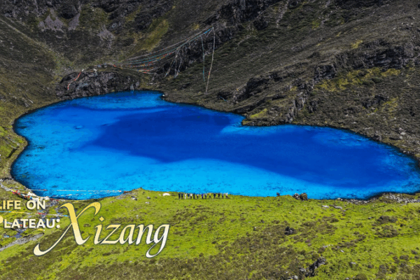 Inside Gurula Co: Xizang’s Heart-Shaped Lake That Went Viral Inside Gurula Co: Xizang’s Heart-Shaped Lake That Went Viral