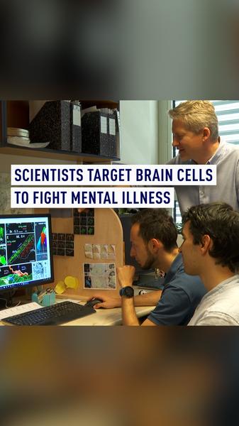 Hungarian_Scientists_Discover_Brain_Cells_That_Tame_Negative_Emotions video poster