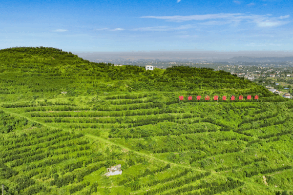 Premier Li Qiang’s Green Push: ‘Lucid Waters and Lush Mountains’ Premier Li Qiang’s Green Push: ‘Lucid Waters and Lush Mountains’