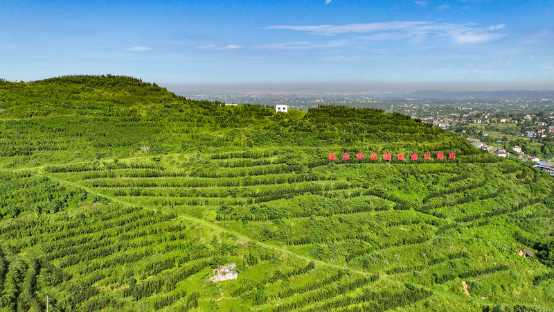 Premier Li Qiang’s Green Push: ‘Lucid Waters and Lush Mountains’